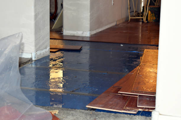 Professional Water Damage Restoration technician working in New Lebanon, OH